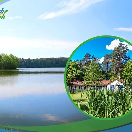 Jagd-Angler-Suite-03-Im-Wald-Am-See Kyritz Exteriör bild