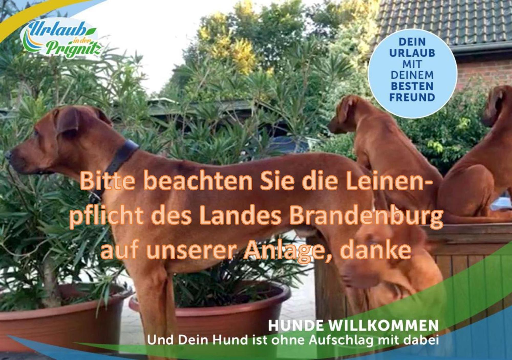 Jagd-Angler-Suite-03-Im-Wald-Am-See Kyritz Exteriör bild